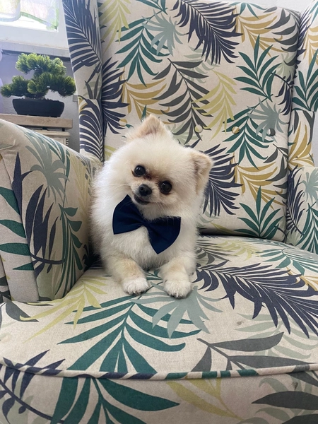 Unserer wichtigster Mitarbeiter